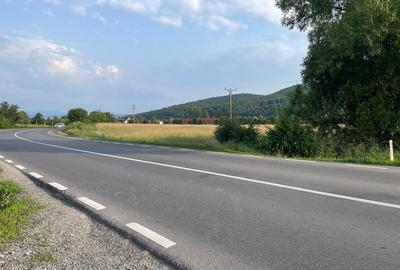 Teren intravilan unic dezvoltare turistica PUZ S+D+P+2,3M hotel, case de vacanta - 10