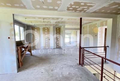 Casa de vânzare Tăuții-Măgherăuș de 323 mp si 57 de ari teren - 6