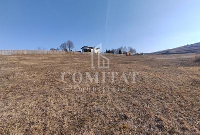 Teren de vanare | 800 mp | Colonia Sopor - 2