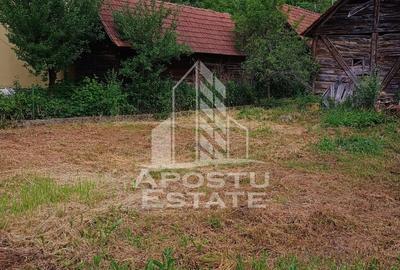 Casa batraneasca de vanzare, 4 camere, in Hunedoara, sat Micanesti - 33