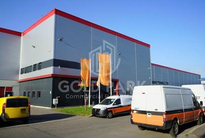 Depozit/Hala-In Park Industrial- Zona Someseni-2900 mp - 5