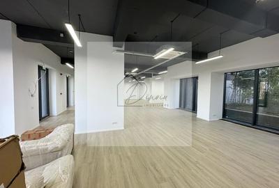 Spatiu comercial Cortina Academy I Vis-a-vis de Palatul Cotroceni - 9