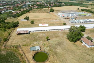 Spațiu depozit și birouri - 4