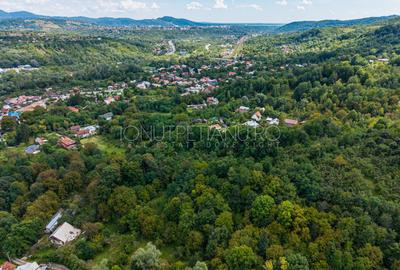 Teren 3.886 mp, Breaza - Podu Vadului, 30 m deschidere la asfalt - 6