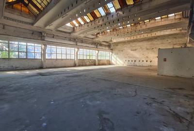 Spațiu industrial, 435 mp în Vest