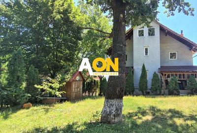 Casă individuală cu 10 camere în Cetate