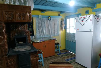 Casa de vanzare Albesti Vaslui - 6