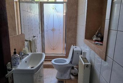 Casa solida S+P+2 Etaje Lucian Blaga - 12