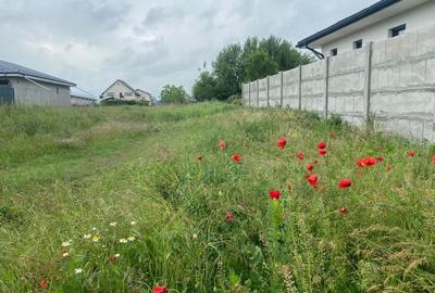 Teren de vanzare intravilan Branesti- Pasarea , Rezidential, Utilitati - 2