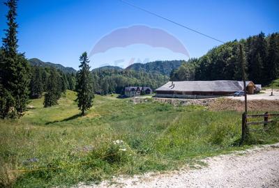 Teren 56599mp Dambovicioara / Soseaua DN 73Dealul sasului! - 2