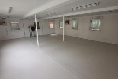 Delfinariu, cladire P+1 , spatiu depozitare 126 mp., curte 463 mp. - 22