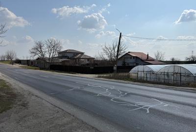 Teren intravilan 4.990 mp – Frumușani, zona Pasărea | Deschidere 22,5 m - 7