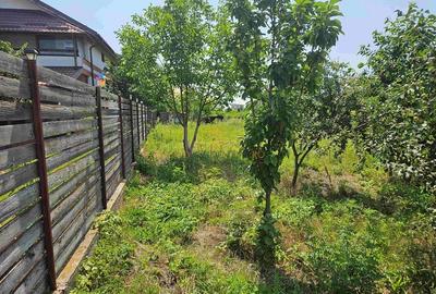 Teren de vanzare, 561 mp, strada Cetatea Alba, Mamina, Comuna Berceni - 6
