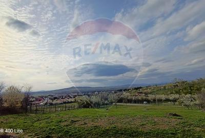 Teren 1423 mp cu deschidere 32 m | Posibilitate lotizare | P+2 Gageni - 4
