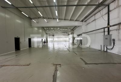 Hala industriala de inchiriat in Selimbar acces tir curte privata - 3