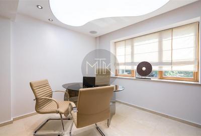 Proprietate premium cu curte – ideala pentru business-uri | LACUL TEI - 20