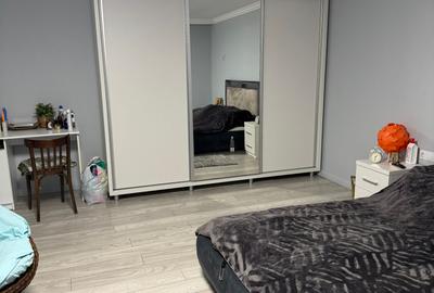 Casa - Parter si mansarda - 6