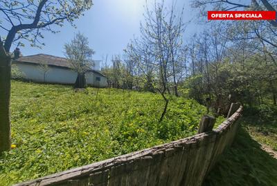 Teren intravilan cu constructie demolabila in Crihan | Magura - de vanzare - 1