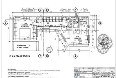 Casa individuala 3 camere | Curte comuna | Stefan cel Mare- Eminescu - 19