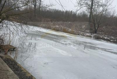 Vila modernă de închiriat pe termen lung – Siliștea Snagovului,  Jacuzzi  Ponton - 25