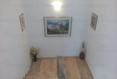 Izbiceni-Damaroaia-Casa Presei,P+E+M,zona verde,aerisita,casa luminoasa,6 camere - 12