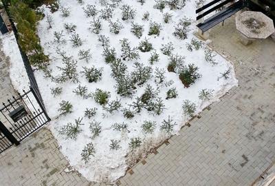 CASA DE INCHIRIAT ULTRA-CENTRAL - locatie deosebita - 17