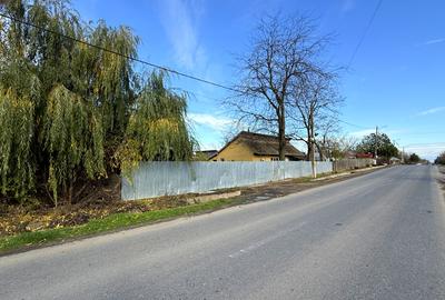Făbrică de producție brânzeturi, Business funcțional, 25 de ani activitate - 12