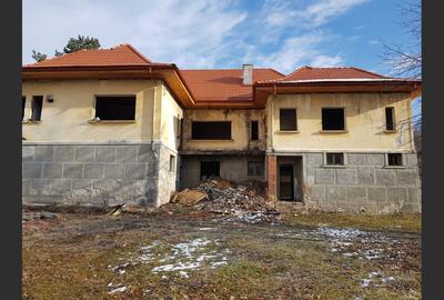 Comision 0%, Doman, Constructie 698 mp si 1800 mp de teren - 8