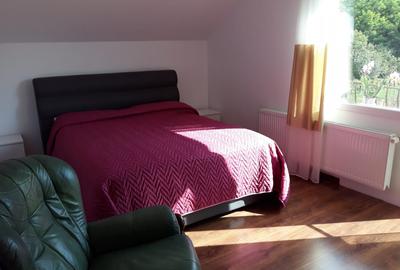 Vânzare casă modernă la 15 km de Bistrița - 10