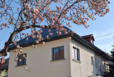 Casă cu 5 camere în Parcul Circului