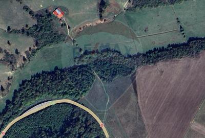 Teren 10,000mp Codlea / DN 1 - 6