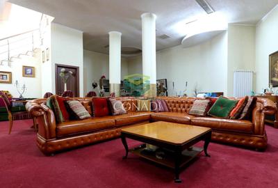 Iancu Nicolae, vila cu 5 camere de vanzare, 356 mp construiti - 6