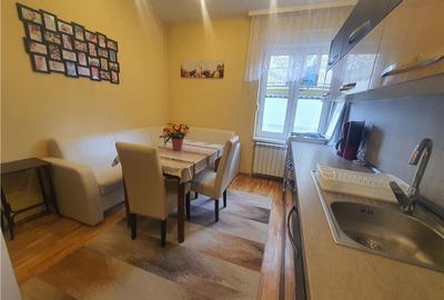 Imobil individual cu doua corpuri de cladire zona Parcului SubArini - 17