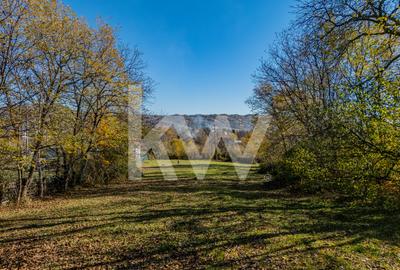 Teren central intravilan Breaza, Prahova 3660 mp - parcelabil - Comision 0%! - 5