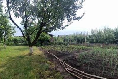 Vila de vanzare 260 mp cu anexe 40 mp si teren 1600 mp - 13