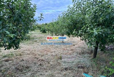 Teren de vanzare 754mp Corbeanca zona Laguna Albastra - 4