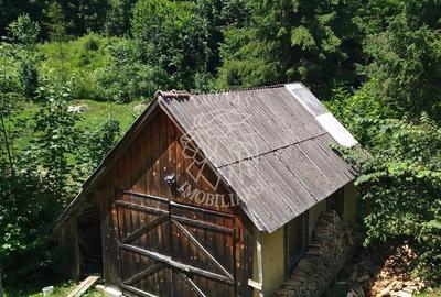 3 Cabane 15 camere 275 mp-teren 1020 mp-ciubar-foisor-Colibita - 13