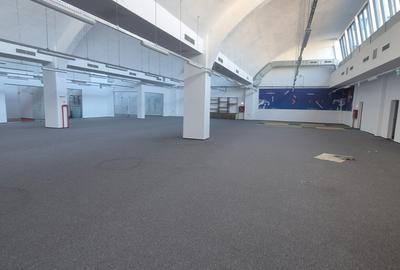Spatiu de birouri / comercial / show room Domenii - Parcul Copilului - 5