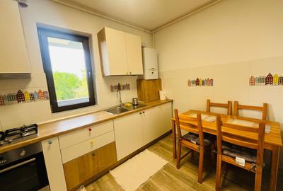 Apartament 2 Camere ,  Piata Muncii , Centrala Proprie - 10