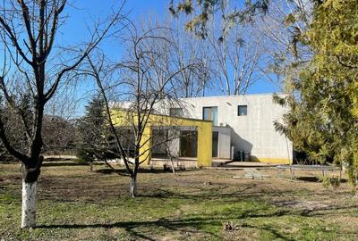 Casa de vanzare la 5 min de Centru cu trei nivele (D+P+1) si teren de 4300mp - 2