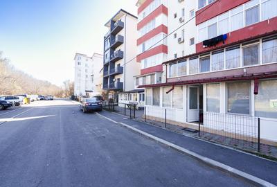 Apartament spatios Brazda - 2 camere - 10