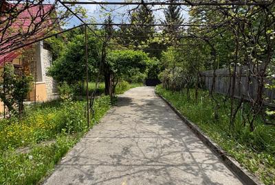 Proprietate deosebita in Luncani | Casa P+M | Teren 2553 mp - 2