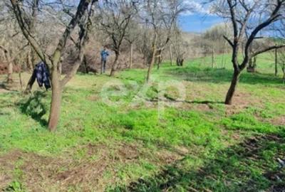Casă la țară de vânzare – Buzoesti, Argeș | Ideală pentru locuit sau relaxare - 8