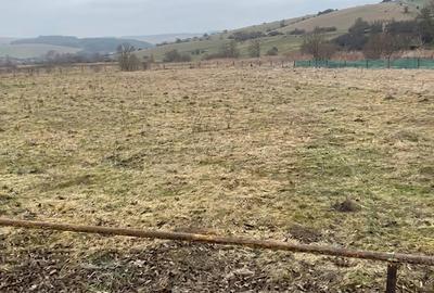 Teren de vanzare, 1250 mp, zona HUB Borhanci - 1