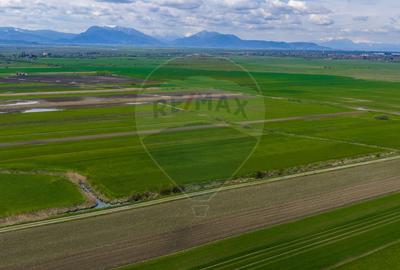 Teren EXTRAVILAN | 4,000mp Stupinii Prejmerului | COMISION 0% - 12