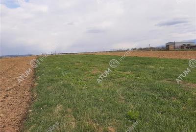Eren intravilan 1400 mp de vanzare pe Valea Avrigului - 7