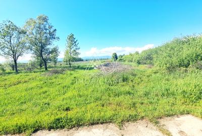 Teren Extravilan de vanzare Ana Ipatescu Tg-Jiu - 2