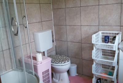 Casa de vacanta Timisu de Sus/Brasov/Oportunitate investitie - 3