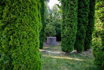 Complex turistic 18 camere, piscina si iaz, de vanzare, Rasnov - Glajarie, jud B - 5