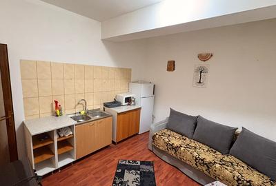 Studio generos - zona  Dacia - 5